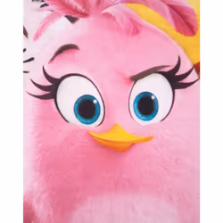 Angry Birds Short Sleeved T-Shirt (Girls Pink) - 7-8 Years