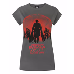 Star Wars Short Sleeved T-Shirt (Womens Grey) - XX-Large