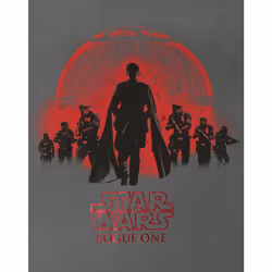 Star Wars Short Sleeved T-Shirt (Womens Grey) - XX-Large