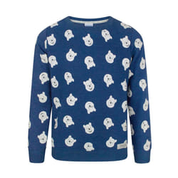 Disney Sweatshirt (Boys Blue) - 5-6 Years