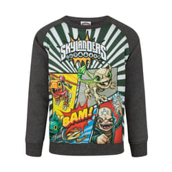 Skylanders Sweatshirt (Boys Grey) - 5-6 Years
