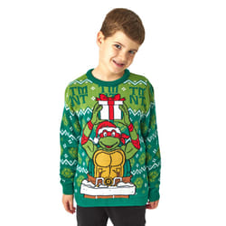Teenage Mutant Ninja Turtles Christmas Jumper (Unisex Kids Green) - 3-4 Years