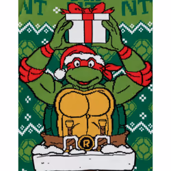 Teenage Mutant Ninja Turtles Christmas Jumper (Unisex Kids Green) - 5-6 Years