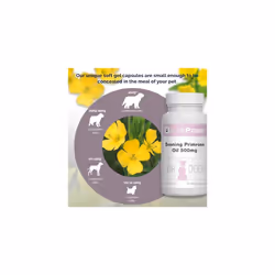 Evening Primrose Oil 500mg for Dogs by VitaPaws | 90 Soft Gel Capsules | for A Healthy Heart and Circulation | Manufactured in The UK