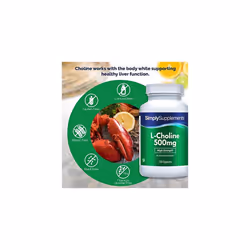Choline Bitartrate Capsules Super Strength 500mg Formula Supplement 120 Capsules 2 Month Supply Vegan Vegetarian Safe