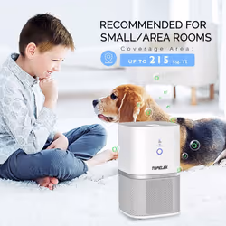 Air Purifier Air Cleaner.True HEPA and ION.Room Purifier.2-Wind Speed.