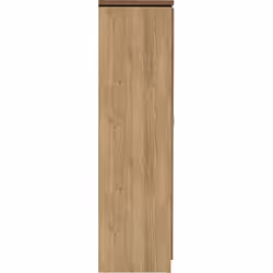 Charles 3 Door All Hanging Mirrored Wardrobe Oak Effect Veneer with Walnut Trim