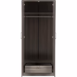Lisbon 2 Door Wardrobe Black Wood Grain Effect Storage and Hanging Rail