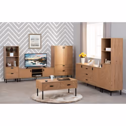 Leon 2 Door 1 Shelf TV Unit Medium Oak Effect Metal Legs