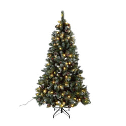 Home 6ft Oscar Pre-lit Christmas Tree - Green