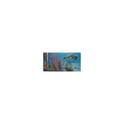Penn Plax 3D AquariumBackground Sea Turtles 50x30cm
