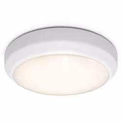 4lite WiZ Connected IP65 Wall/Ceiling Light, 1 bulb(s), LED, 1160 lm, IP65, White