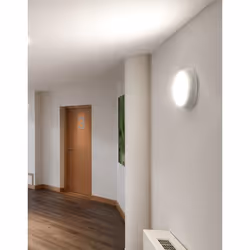 4lite WiZ Connected IP65 Wall/Ceiling Light
