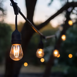 4lite Festoon Lighting Integrated LED 11.5m