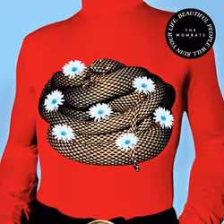 ImportCDs Beautiful People Will Ruin Your Life, Pop rock, CD, Physical media, Adult, 1 discs, 09/02/2018