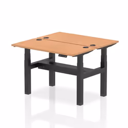 Dynamic Air Back-to-Back W1200 x D600mm Height Adjustable Sit Stand 2
