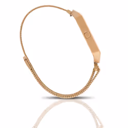 Fitbit Blaze Metal Mesh Straps with Frame - Gold