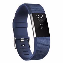 Aquarius Classic Fitbit Charge-2 Replacement Band - Royal Blue-Small