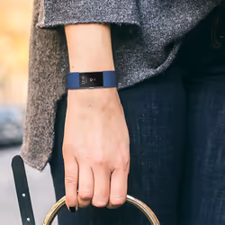 Aquarius Classic Fitbit Charge-2 Replacement Band - Royal Blue-Small