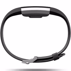 Aquarius Classic Fitbit Charge-2 Replacement Band - Black-Large