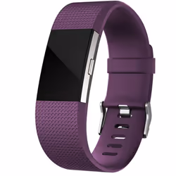 Aquarius Classic Fitbit Charge-2 Replacement Band - Purple-Large