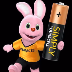 Duracell Simply AA Batteries4pk with AAA Non-Rechargeable Batteries2Pk