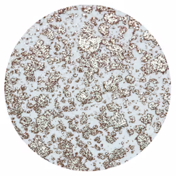 Nuvo - Sparkle Spray - Cocoa Powder - 1665n