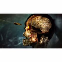 Rebellion Zombie Army 4 : Dead War Standard German, Simplified Chinese, Korean, Spanish, French, Italian, Japanese, Polish, Portuguese, Russian PlayStation 4