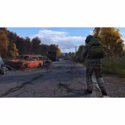 DayZ PS4 Game