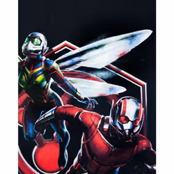 Marvel Short Sleeved T-Shirt (Mens Black) - X-Large