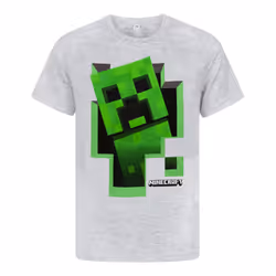 Minecraft Creeper Inside Boy's Grey T-Shirt - 7-8 Years