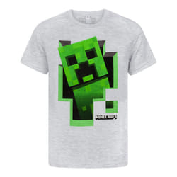 Minecraft Creeper Inside Boy's Grey T-Shirt - 7-8 Years