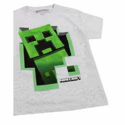 Minecraft Creeper Inside Boy's Grey T-Shirt - 7-8 Years