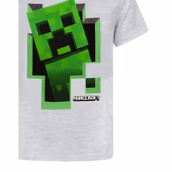Minecraft Creeper Inside Boy's Grey T-Shirt - 7-8 Years