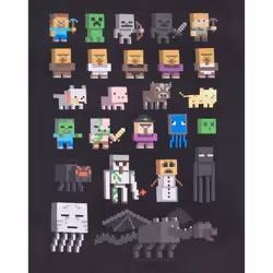 Minecraft Sprites Girl's Black Short Sleeve T-Shirt - 11-12 Years