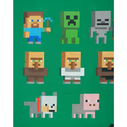 Minecraft Sprites Boys Green T-shirt - 13-14 Years