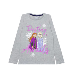 Disney Short Sleeved T-Shirt (Girls Grey) - 2-3 Years