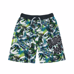 Jurassic World Swim Shorts For Boys | Kids Tyrannosaurus T Rex Dinosaur Swimming Trunks Pants | Children's Green Swimwear - 1 ...