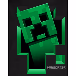 Minecraft Hoodie (Boys Black) - 14-15 Years
