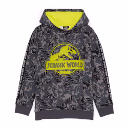 Jurassic World Hoodie (Unisex Kids Grey) - 3-4 Years