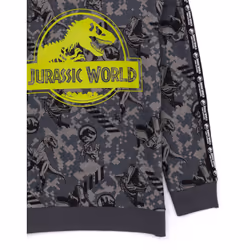 Jurassic World Hoodie (Unisex Kids Grey) - 3-4 Years