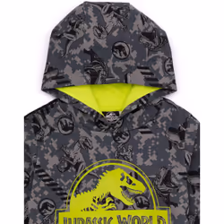 Jurassic World Hoodie (Unisex Kids Grey) - 3-4 Years