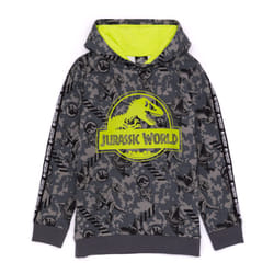 Jurassic World Hoodie (Unisex Kids Grey) - 5-6 Years