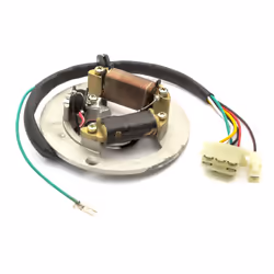 Ignition Stator Magneto Fits Yamaha Dirtbike PW80 PW 80 Peewee 2 Coil 6 Wire