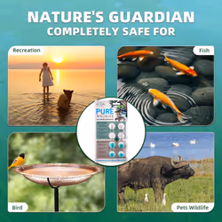 Evolution Aqua Pure Wildlife Beneficial Bacteria pack of 8