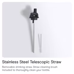 Series 2 Flip Water Bottle with Sports Flip Lid, Telescopic Straw and Nylon Carry Loop - Easy Flip Lid, Straw Cleaning Brush Included - 500ml - Blush