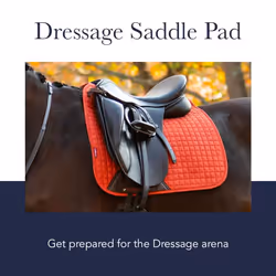 Loire Classic Dressage Square Sage Large