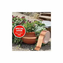 Slug Repelling Copper Tape (4.5m roll) - Pack of 2