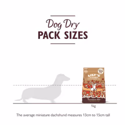 Lily's Kitchen Made with Natural Ingredients Adult Dry Dog Food Beef Stew with Ancient Grains 1kg Bag