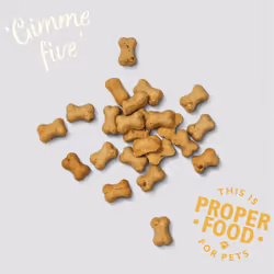 Lily's Kitchen Training Treats with Cheese & Apple